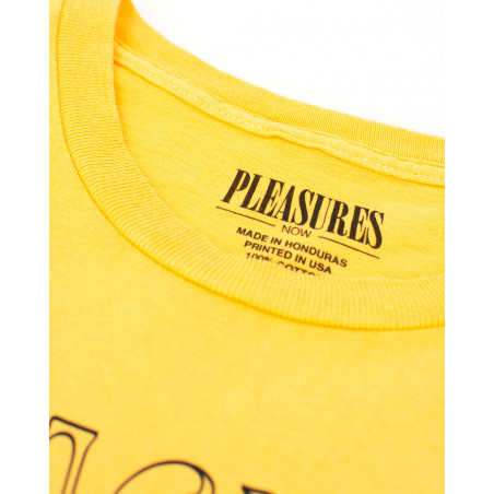 Pleasures River Pigment Dye T-Shirt P22SP050