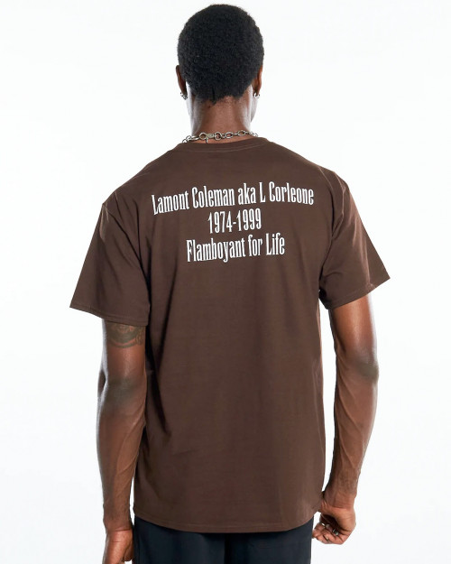 Pleasures IN MEMORY T-SHIRT P22F068-BROWN