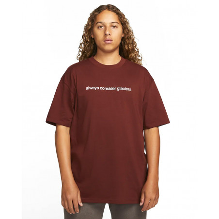 NIKE Acg Tee DV9625-217