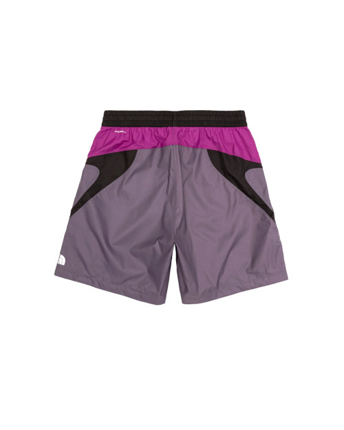 The North Face TNF SHORT NF0A7ZY1RK8