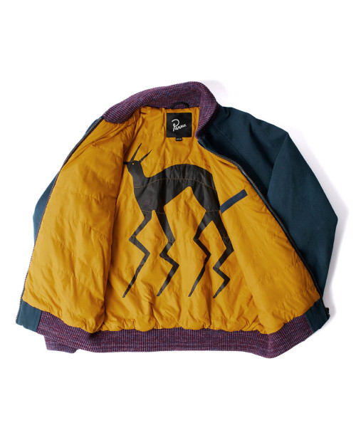 chaqueta Parra skull stalker varsity jacket